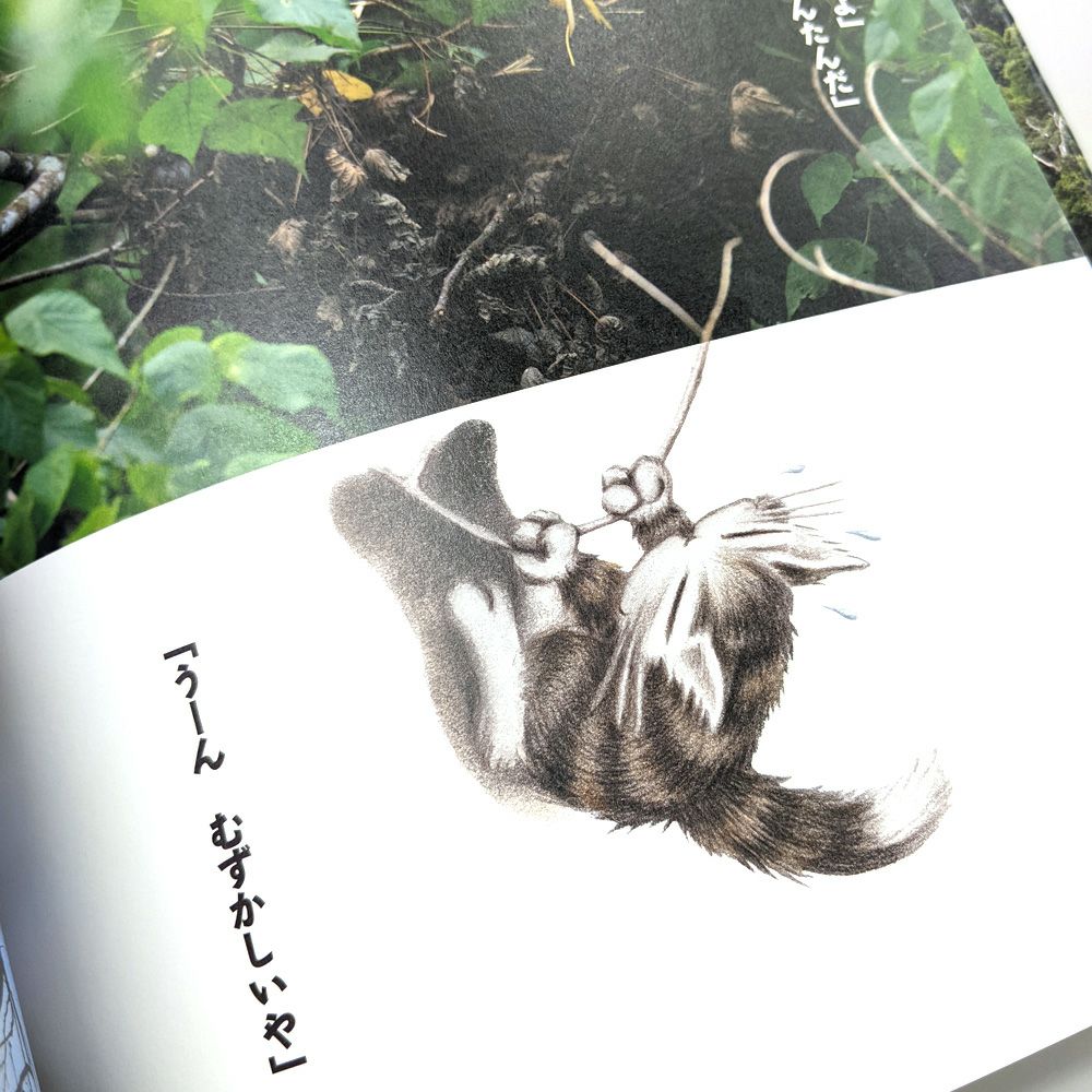 ダヤン 版画「ノックノックどなた？」 ダヤンと森の写真絵本 ねどこどこ？ | わちふぃーるどオンラインショップ